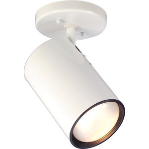 1-Light Semi Flush Mount