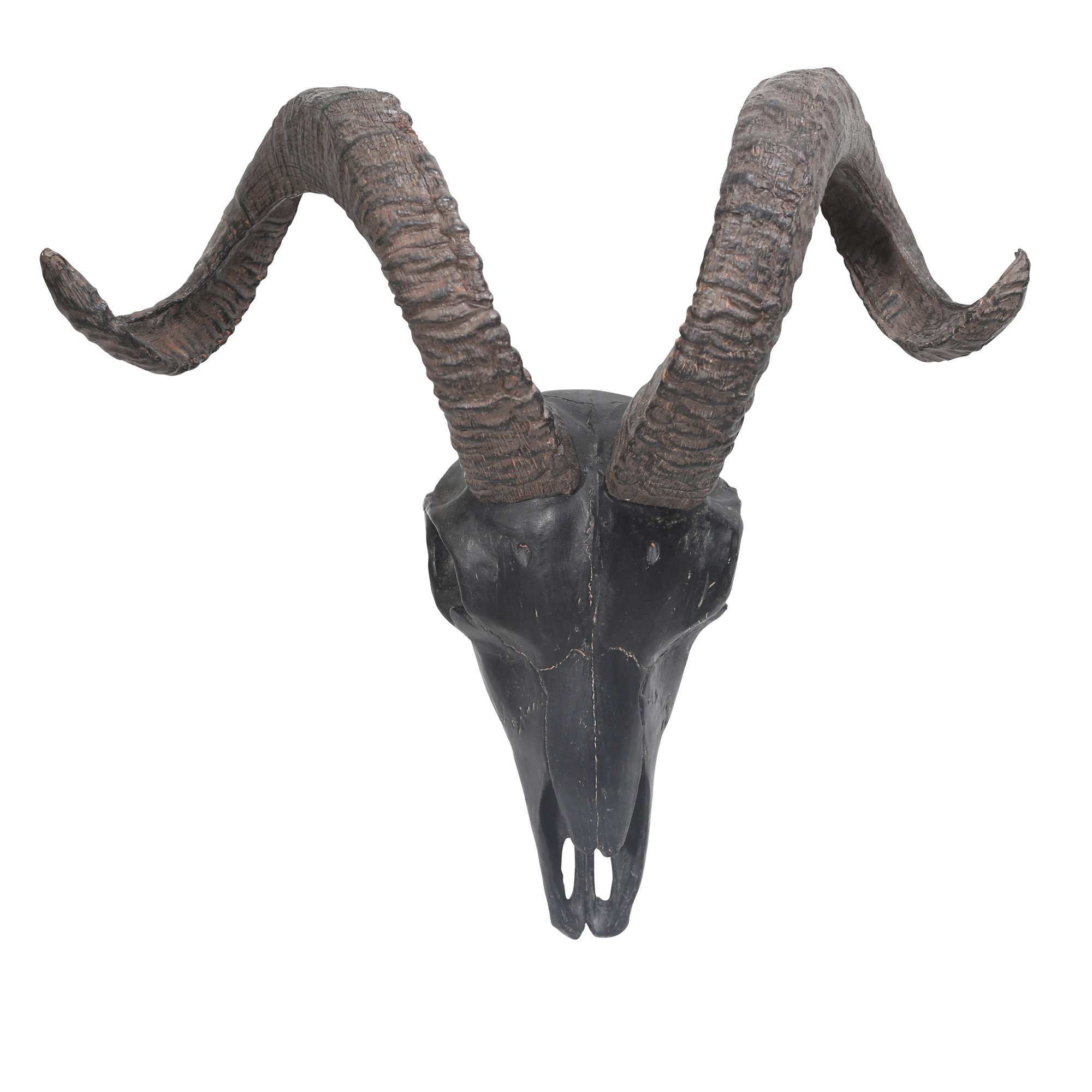 Ram Skull Wall Decor Reviews Allmodern