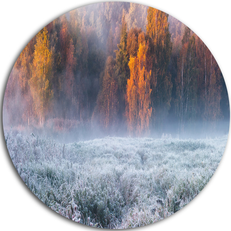 Designart Grey Hoarfrost Design By Winter Photographic Print On Metal Wayfair