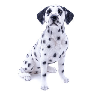 Dalmatian Statue Wayfair Dalmatian Statue Wayfair