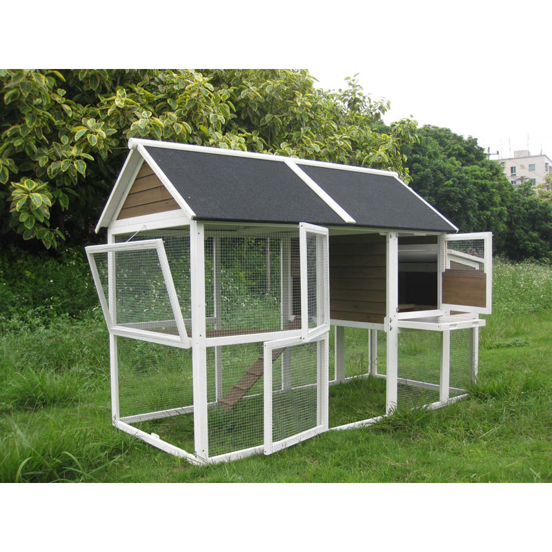 Coops & Feathers XLarge Superior Chicken Coop/House Wayfair
