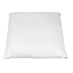 Pillow Encasement by Alwyn Home