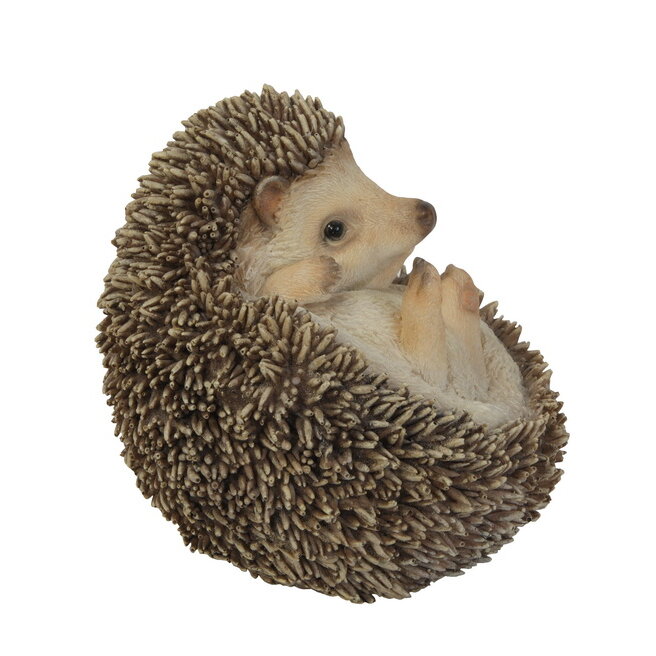 Hi-Line Gift Ltd. Hedgehog On Back Statue & Reviews | Wayfair