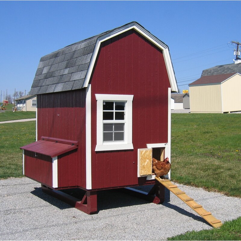 Tucker Murphy Pet Daria Gambrel Barn Chicken House With Nesting