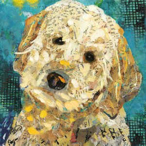 'Art Dog Doodle' by Sandy Doonan Graphic Art on Wrapped Canvas