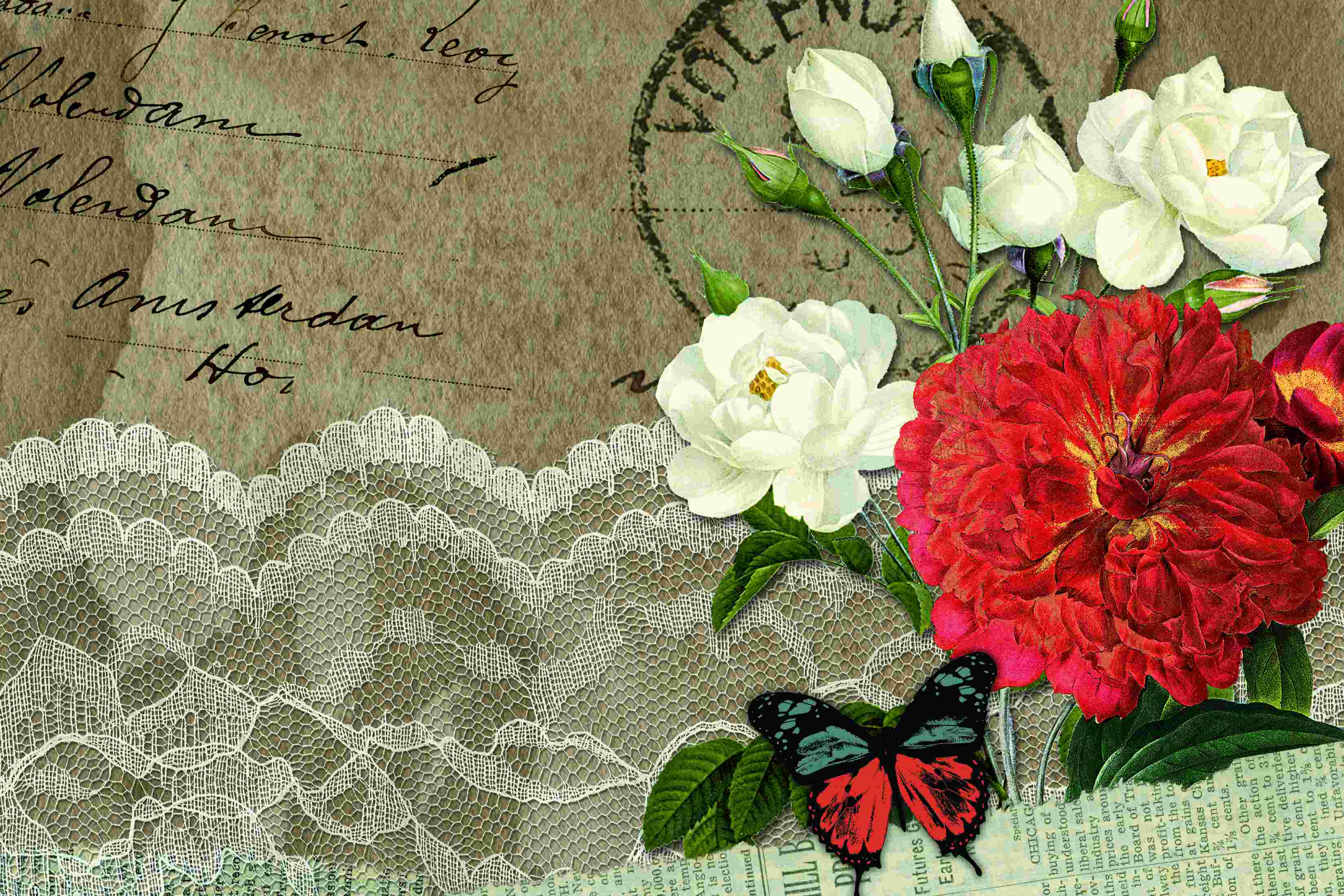 Winston Porter Flower Frames Wrapped Canvas Graphic Art Wayfair