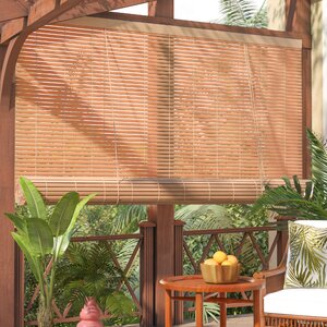 Outdoor Roller Blind