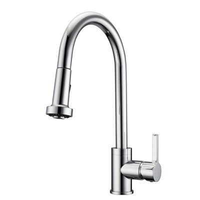 Fairchild Pull Down Single Handle Kitchen Faucet Barclay Finish