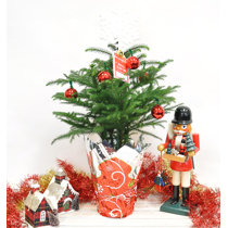 Christmas Tree U Cut 2022 Wayfair | Costa Farms Christmas Trees You'll Love In 2022