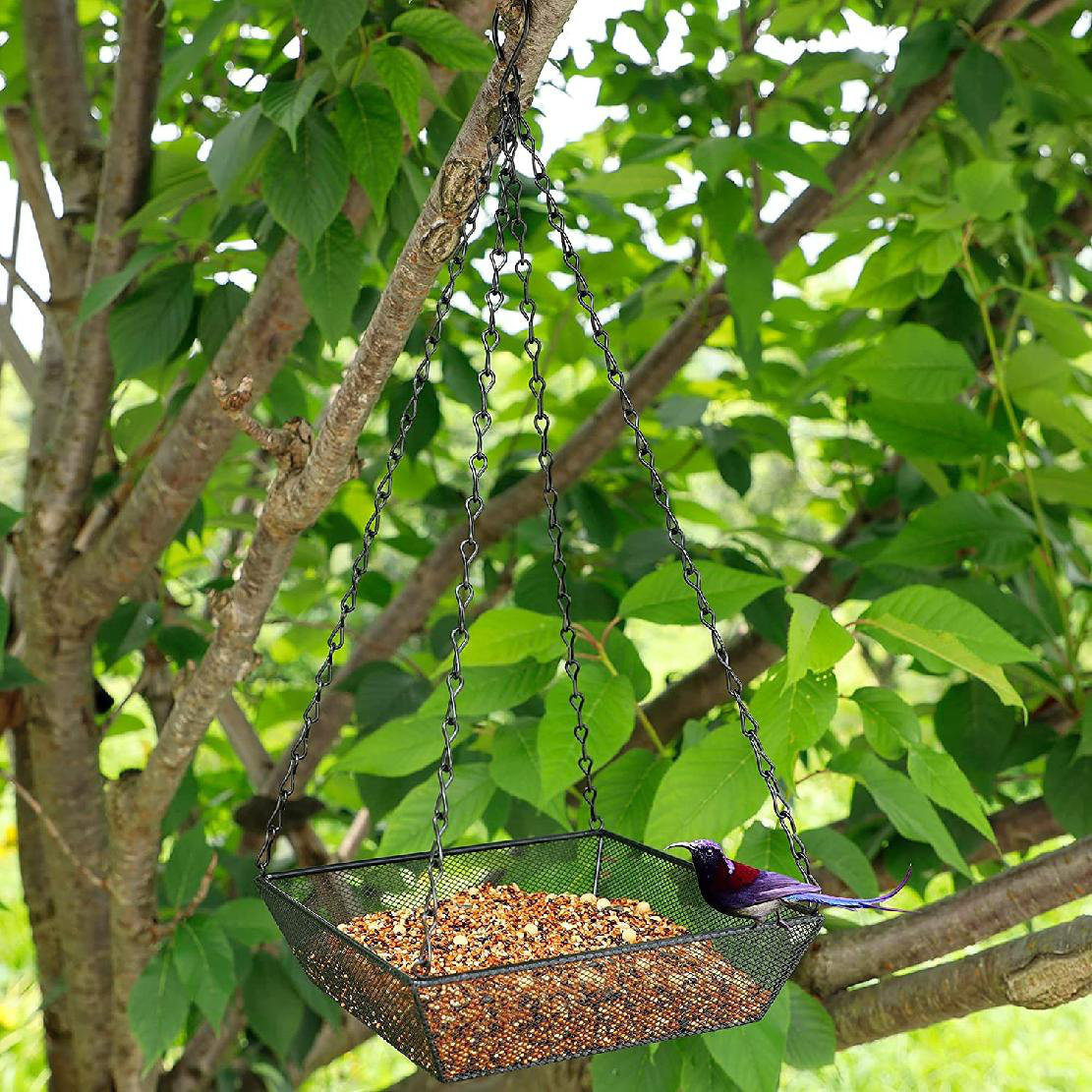 Green Pavilion Bird Feeder Plastic Hanging Bird Food Container Garden Decor 