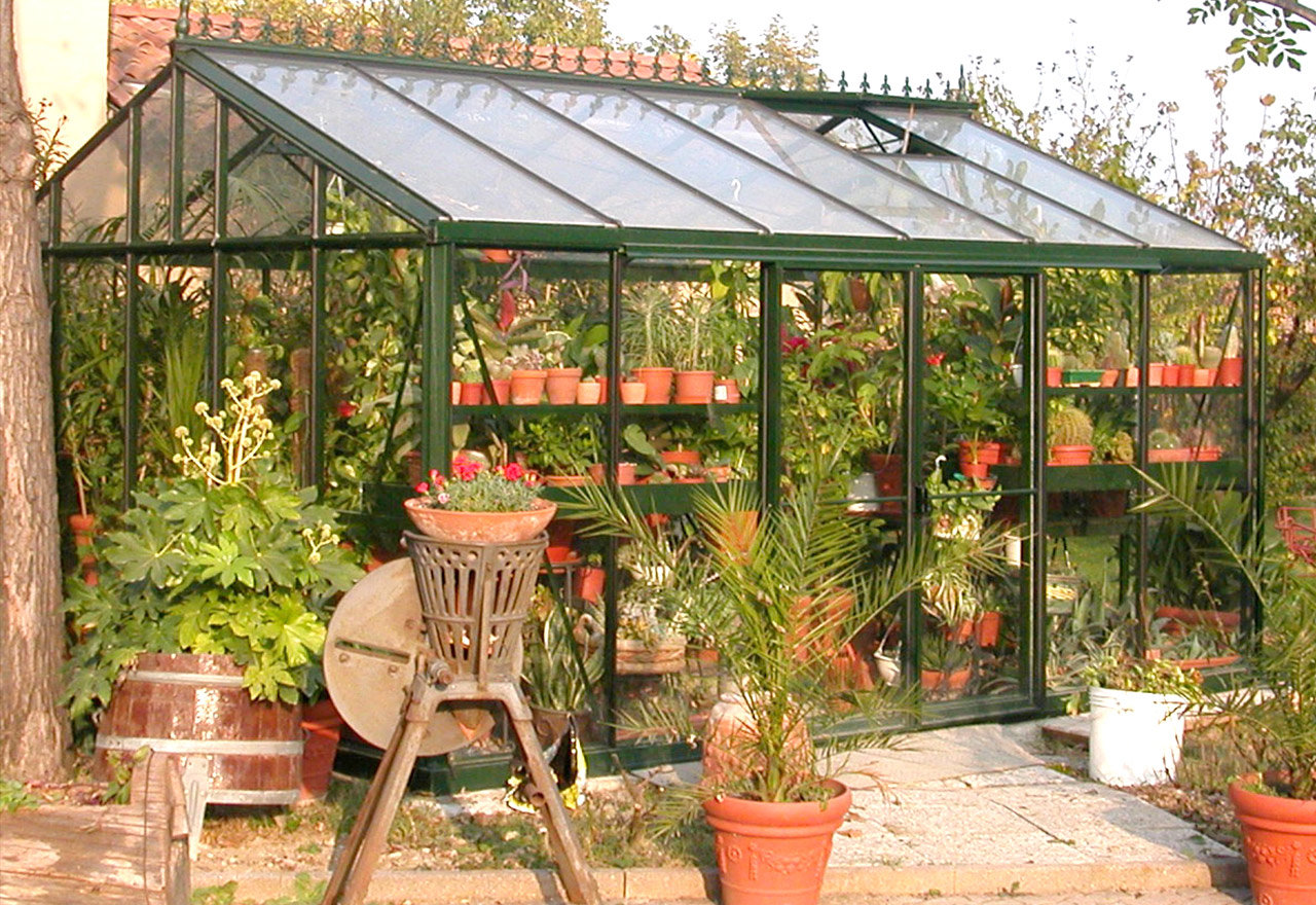 [BIG SALE] Garden Shop Greenhouse Supplies You’ll Love In 2021 Wayfair