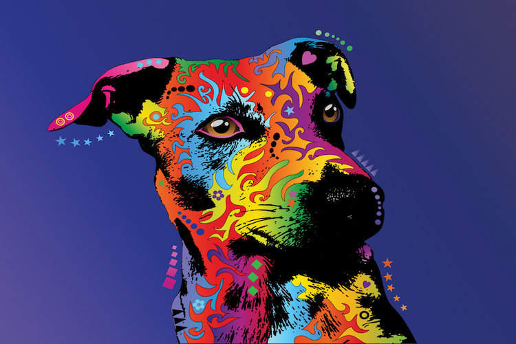 East Urban Home Rainbow Jack Russell Terrier Graphic Art On Wrapped Canvas Wayfair