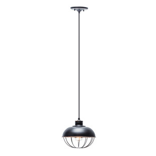 Modern Contemporary Edison Bulb Track Lighting Allmodern Demi Vintage Edison 1 Light Pendant