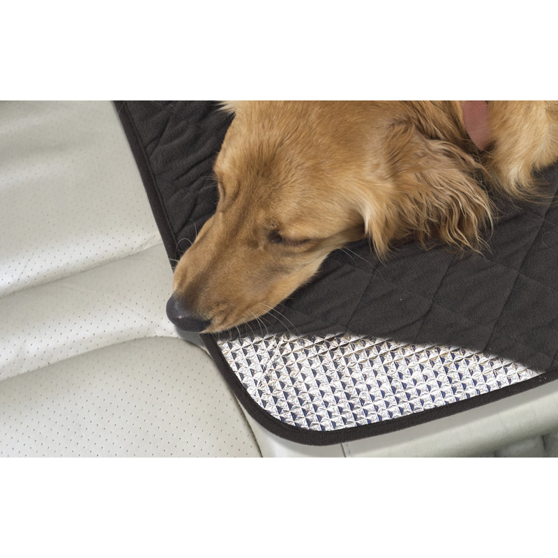 self warming dog blanket