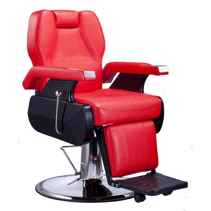 Symple Stuff Hydraulic Barber Salon Beauty Spa Reclining ...