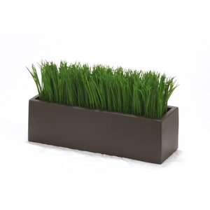 Grass in Rectangular Stone Planter