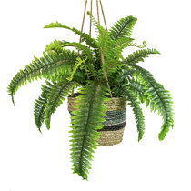 Artificial Boston Fern Wayfair Artificial Boston Fern Wayfair