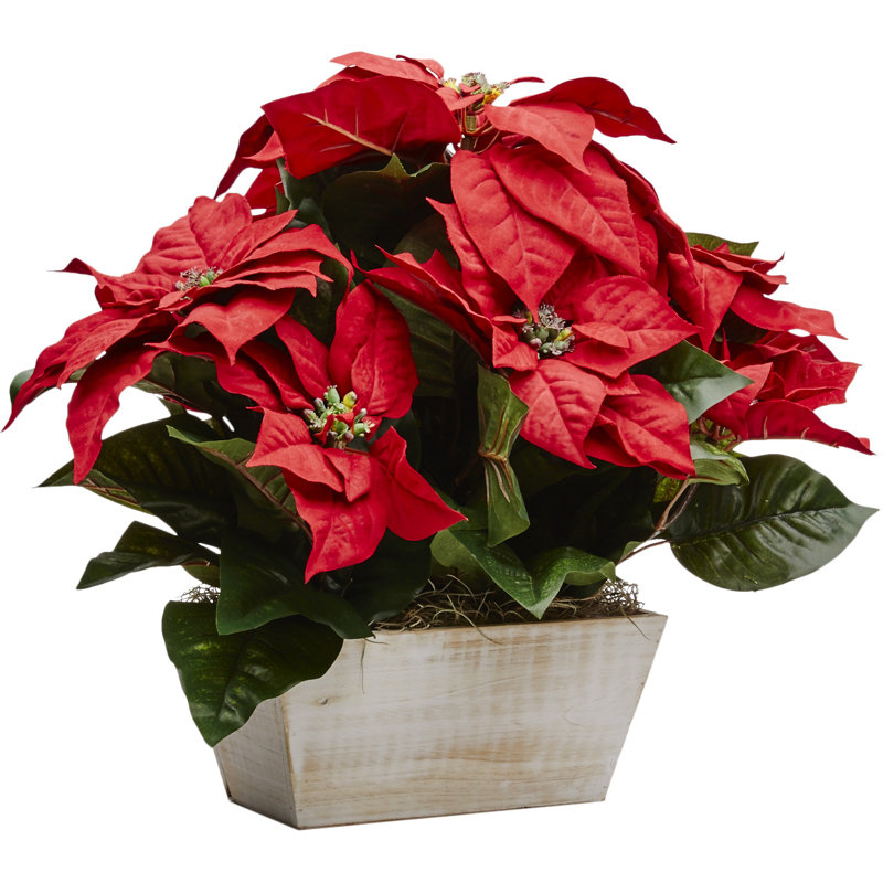 poinsettia floral arrangements