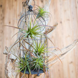 Grass Hanging Faux Plants You Ll Love In 2021 Wayfair