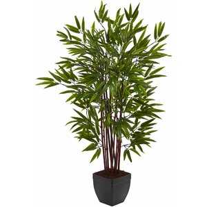 Bamboo Silk Tree in Planter