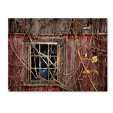 Old Barn Window Frame Wayfair