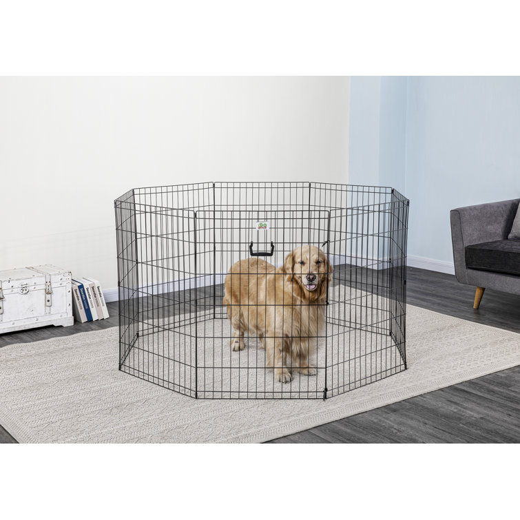 dog pen area