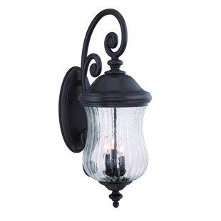 Go to store & view more images Berwyck 3-Light Outdoor Wall Lantern by Fleur De Lis Living
