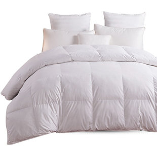 Luxury Hotel Cording Box Premium Fall/Spring Down Alternative Comforter by Alwyn Home Best Choices