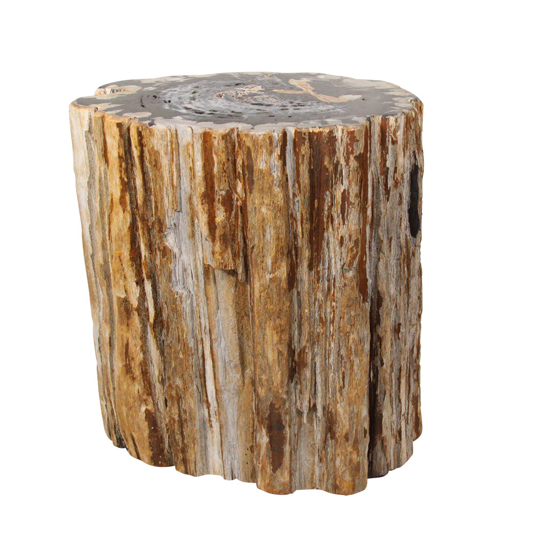Petrified Wood Accent Stool
