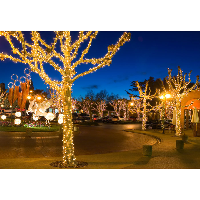 Fairy 100 Light Solar String Lights Fairy 100 Light Solar String Lights
