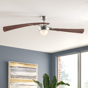 48 Amburgey 2 Blade Ceiling Fan