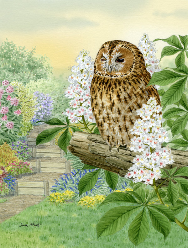 Caroline's Treasures Tawny Owl 2-Sided Polyester 40 x 28 ...