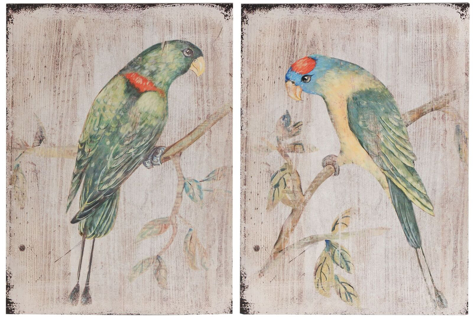 2 Piece Parrot Wall Décor Set Reviews Birch Lane 2 Piece Parrot Wall Décor Set Reviews
