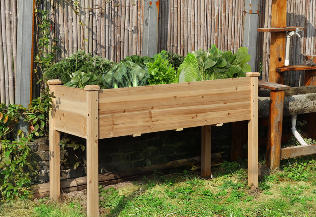 Raised Garden Beds You'll Love