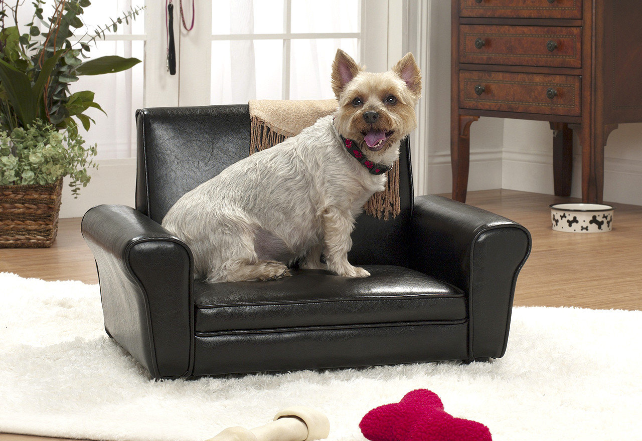 [BIG SALE] Picks for Pampered Pets You’ll Love In 2023 Wayfair