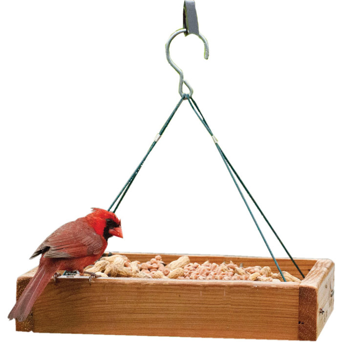 Audubon Woodlink Hanging Platform Tray Bird Feeder Reviews Wayfair