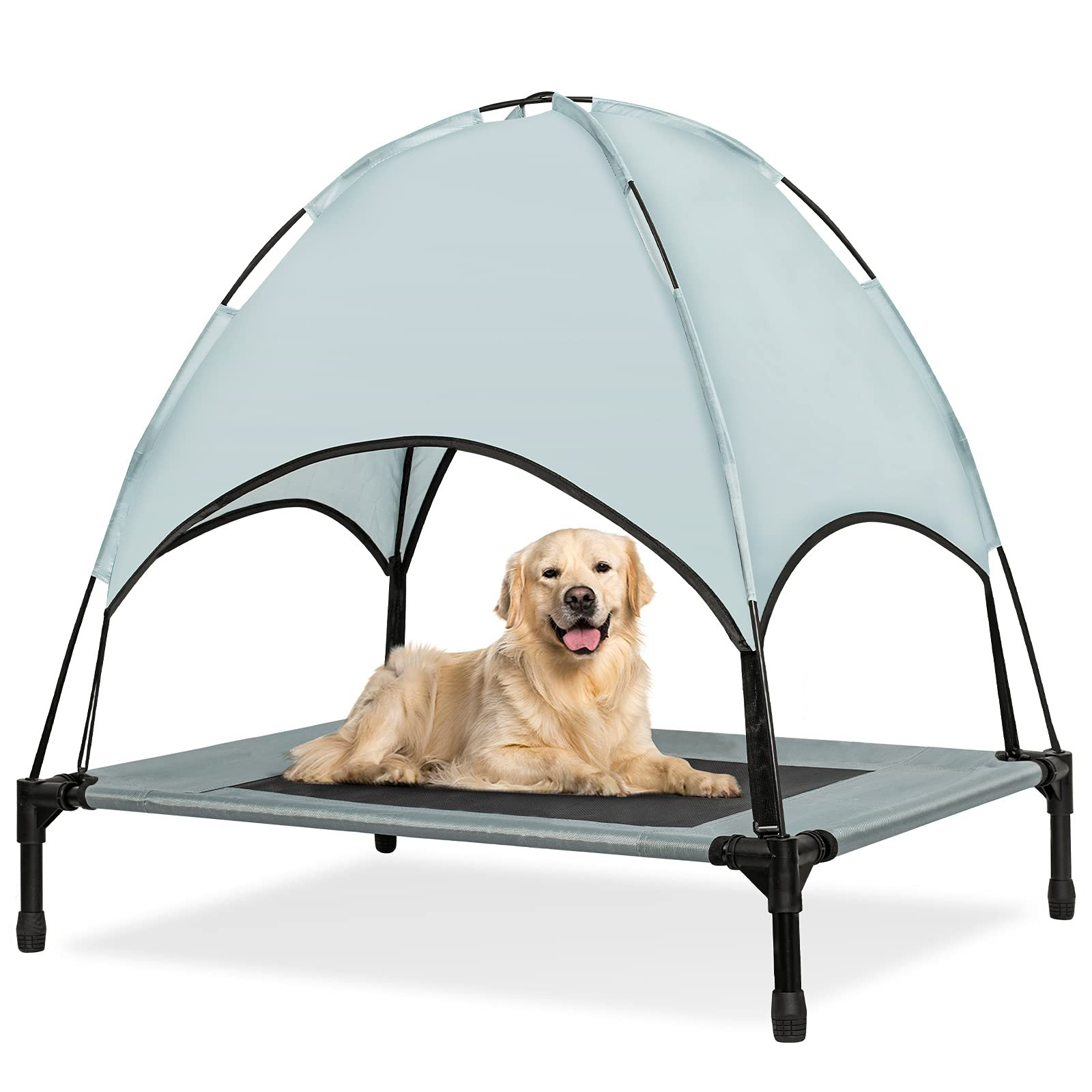 raised dog bed with canopy