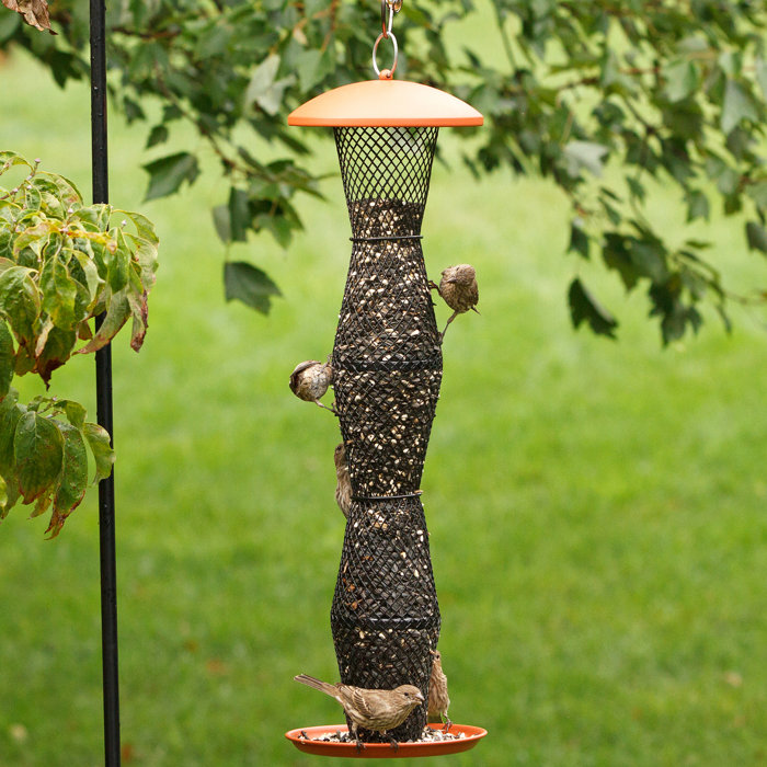Perky Pet Terra Cotta And Sunflower Tube Bird Feeder Wayfair Ca