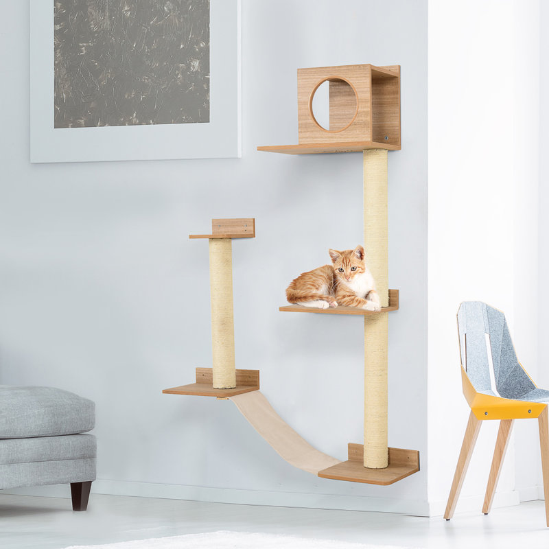 cat activity center