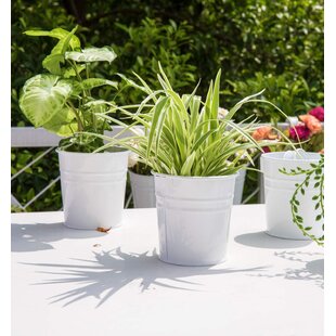 Details about   Pair 7” White Flower Vase Glazed Porcelain Reticulated Edge Farmhouse Decor Wed 