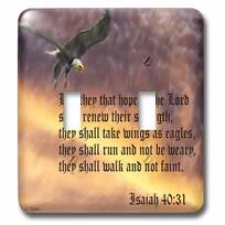 3dRose lsp_30756_6 Two Plug Outlet Cover with Isaiah 40:31 Bible Verse with Eagle Engraved Into a Copper Background 