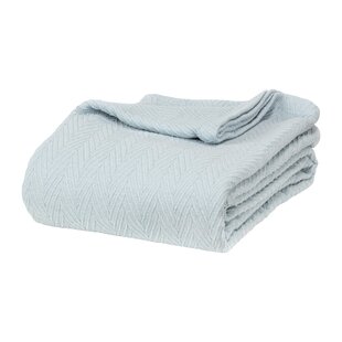 calvin klein home cotton blanket