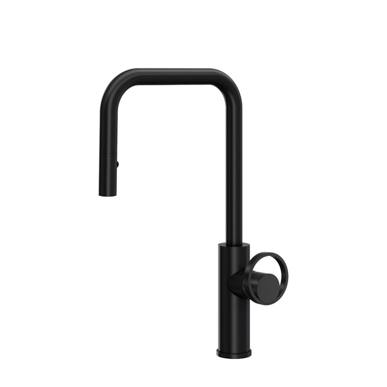 Eclissiâ¢ Pull-Down Single Handle Kitchen Faucet With Accessories