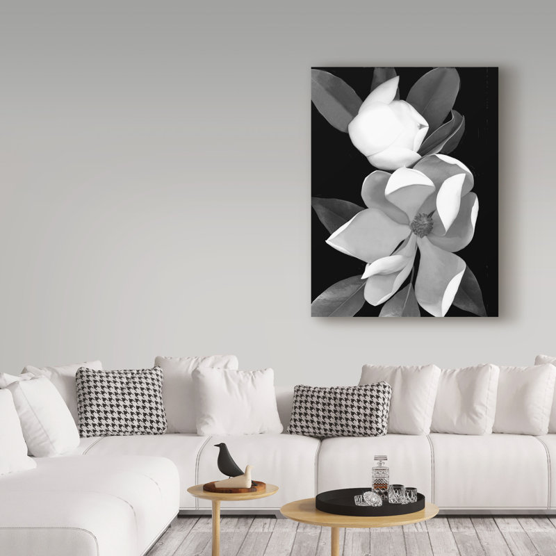 Trademark Art White Magnolia Black And White By Graphic Art Print On Wrapped Canvas Reviews Wayfair
