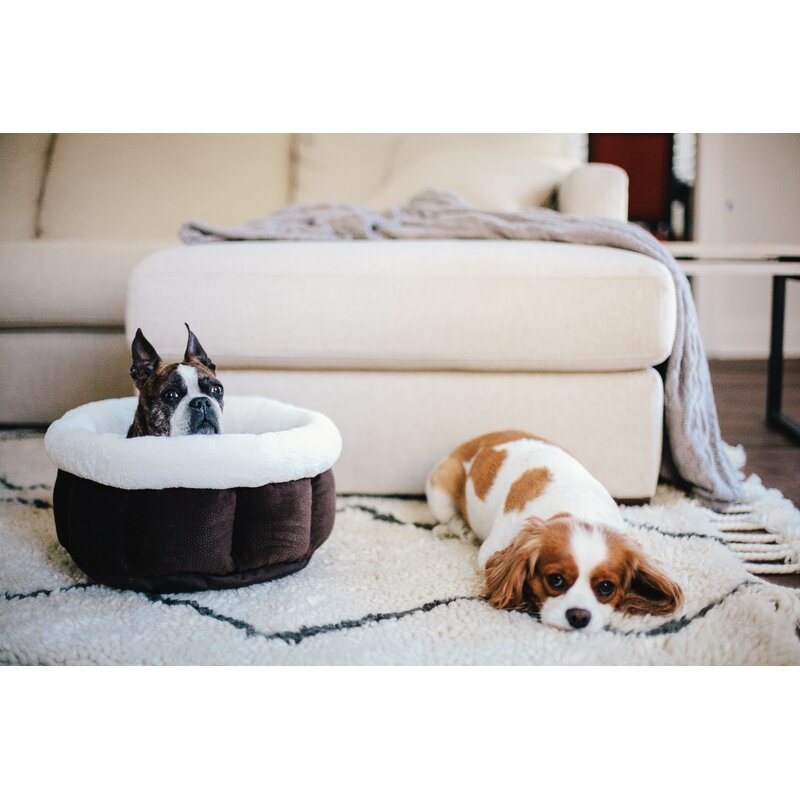 best friends cuddle cup dog bed