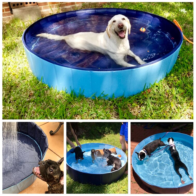 Portable Pet Swimming Pool Dog Pool Cat Sand Tray Bath Tub Outdoor Foldable Pool 