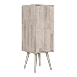 Dreiling 2 Door Accent Cabinet By George Oliver