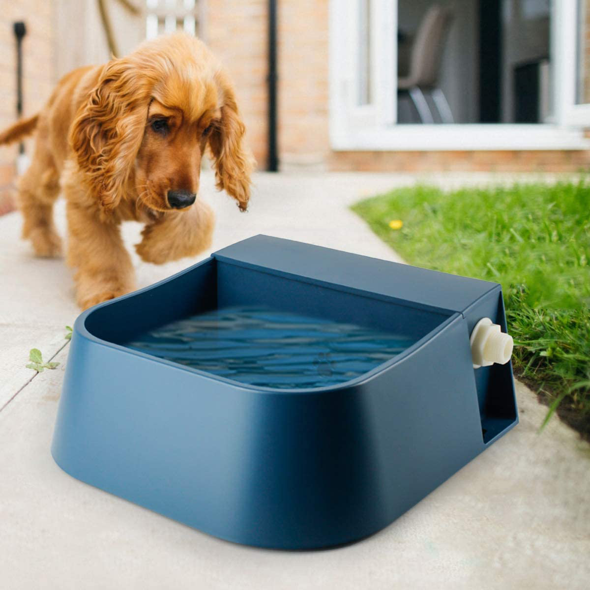 continuous water bowl