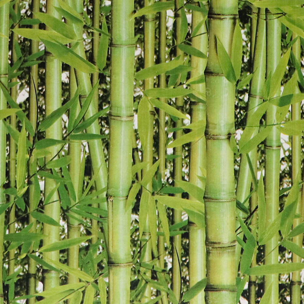 World Menagerie Sikorsky Bamboo Leaves 33 L X 5 W Wallpaper Roll Wayfair Ca