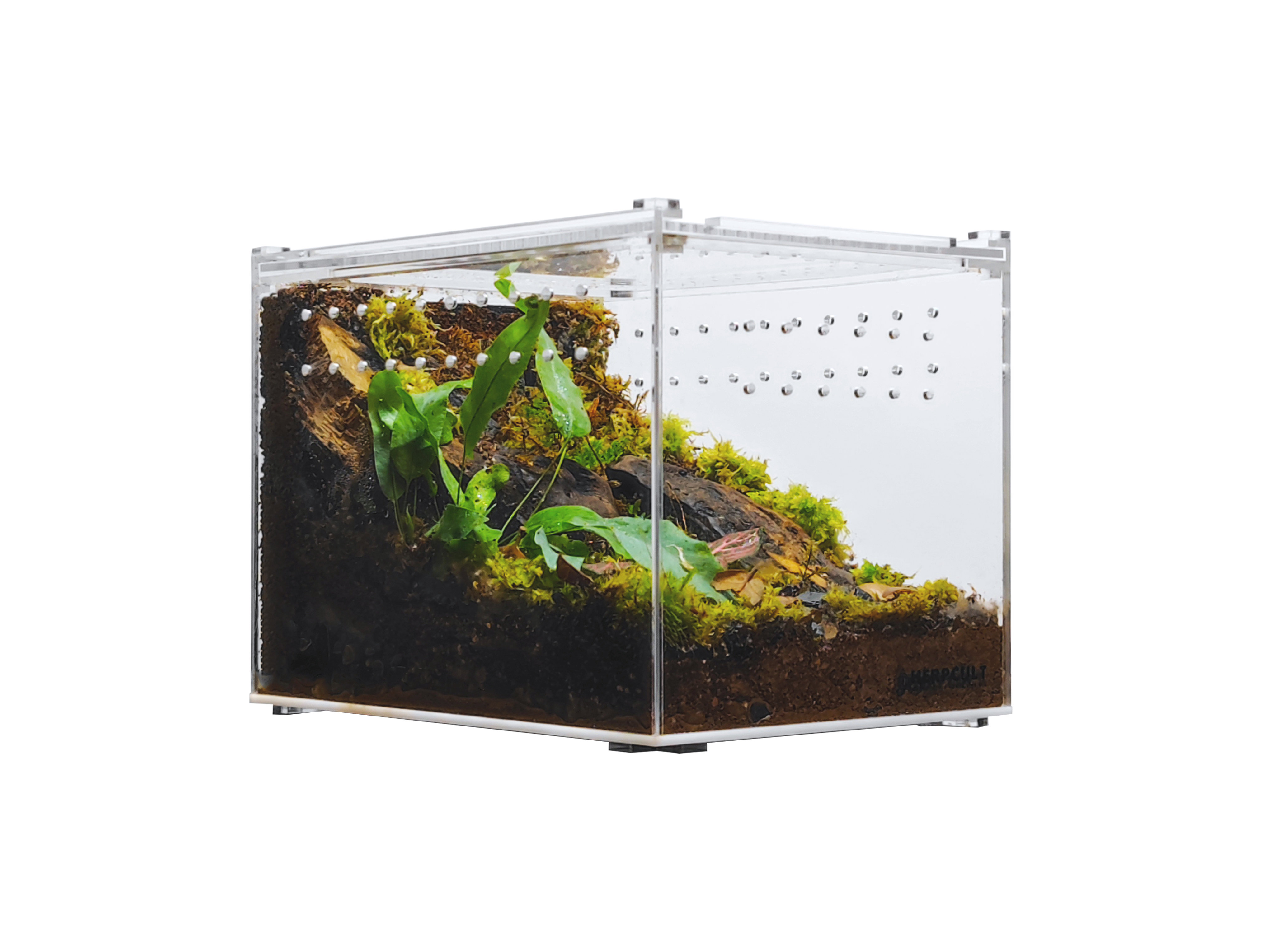 HerpCult Acrylic Enclosure | Wayfair